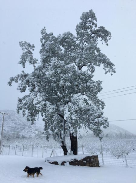 Posada Del Jinete San José de Maipo Eksteriør bilde